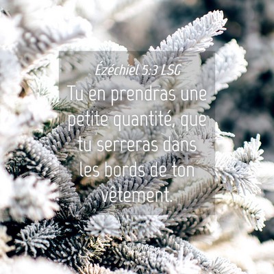 Picture 04 - Ézéchiel 5:3 LSG - Tu en prendras une petite quantité, que tu - Bible Verse Picture