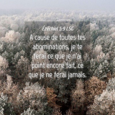 Picture 04 - Ézéchiel 5:9 LSG - A cause de toutes tes abominations, je te ferai - Bible Verse Picture