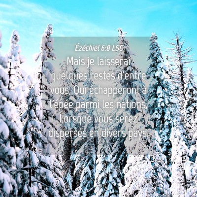 Picture 04 - Ézéchiel 6:8 LSG - Mais je laisserai quelques restes d'entre vous, - Bible Verse Picture