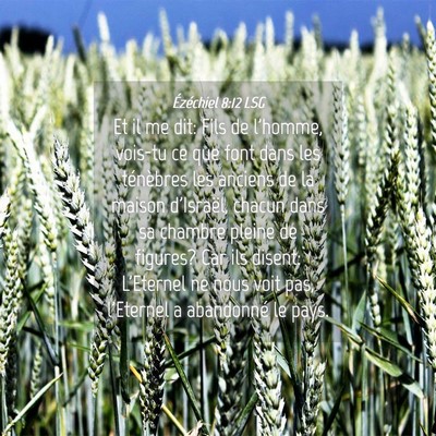 Picture 04 - Ézéchiel 8:12 LSG - Et il me dit: Fils de l'homme, vois-tu ce que - Bible Verse Picture