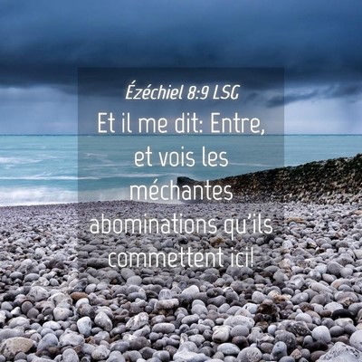Picture 04 - Ézéchiel 8:9 LSG - Et il me dit: Entre, et vois les méchantes - Bible Verse Picture