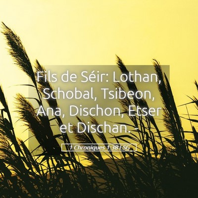 Picture 05 - 1 Chroniques 1:38 LSG - Fils de Séir: Lothan, Schobal, Tsibeon, Ana, - Bible Verse Picture