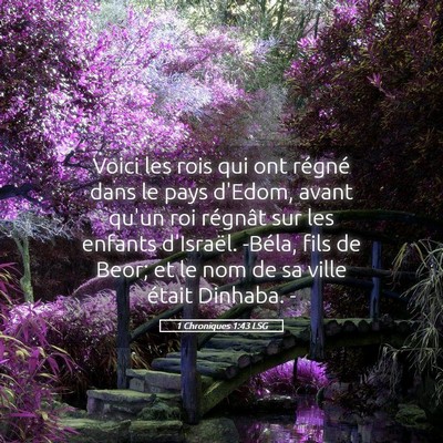 Picture 05 - 1 Chroniques 1:43 LSG - Voici les rois qui ont régné dans le pays - Bible Verse Picture