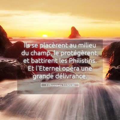 Picture 05 - 1 Chroniques 11:14 LSG - Ils se placèrent au milieu du champ, le - Bible Verse Picture