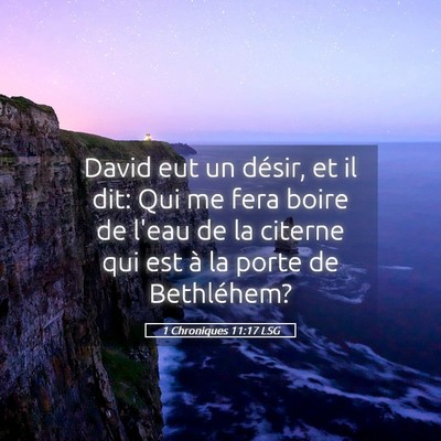 Picture 05 - 1 Chroniques 11:17 LSG - David eut un désir, et il dit: Qui me fera boire - Bible Verse Picture