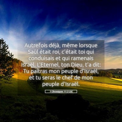 Picture 05 - 1 Chroniques 11:2 LSG - Autrefois déjà, même lorsque Saül était roi, - Bible Verse Picture
