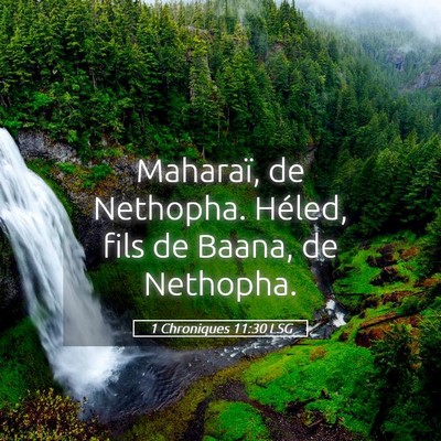Picture 05 - 1 Chroniques 11:30 LSG - Maharaï, de Nethopha. Héled, fils de Baana, de - Bible Verse Picture