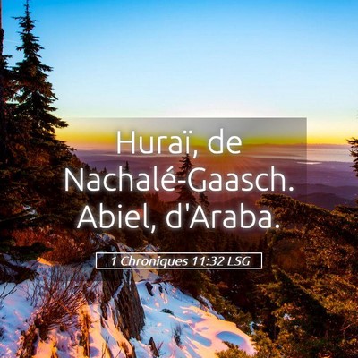 Picture 05 - 1 Chroniques 11:32 LSG - Huraï, de Nachalé-Gaasch. Abiel, - Bible Verse Picture