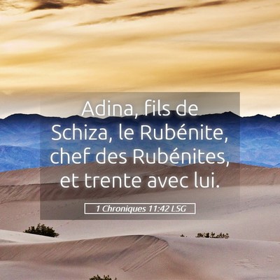 Picture 05 - 1 Chroniques 11:42 LSG - Adina, fils de Schiza, le Rubénite, chef des - Bible Verse Picture