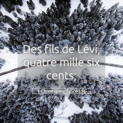Picture 05 - 1 Chroniques 12:26 LSG - Des fils de Lévi, quatre mille six - Bible Verse Picture