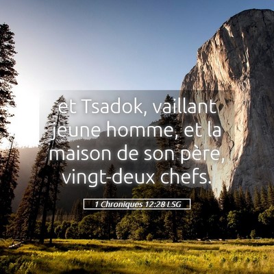 Picture 05 - 1 Chroniques 12:28 LSG - et Tsadok, vaillant jeune homme, et la maison de - Bible Verse Picture