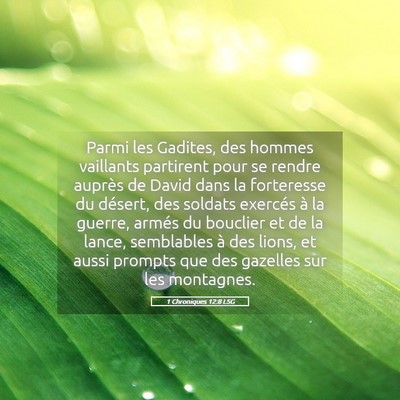 Picture 05 - 1 Chroniques 12:8 LSG - Parmi les Gadites, des hommes vaillants partirent - Bible Verse Picture