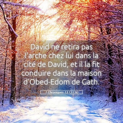 Picture 05 - 1 Chroniques 13:13 LSG - David ne retira pas l'arche chez lui dans la - Bible Verse Picture