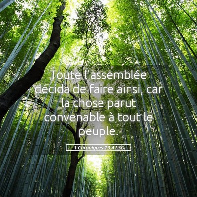 Picture 05 - 1 Chroniques 13:4 LSG - Toute l'assemblée décida de faire ainsi, car la - Bible Verse Picture