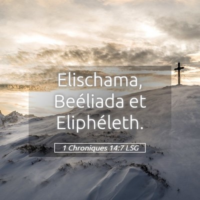 Picture 05 - 1 Chroniques 14:7 LSG - Elischama, Beéliada et - Bible Verse Picture