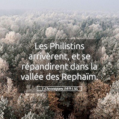 Picture 05 - 1 Chroniques 14:9 LSG - Les Philistins arrivèrent, et se répandirent - Bible Verse Picture