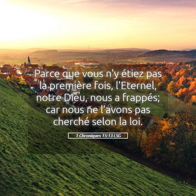 Picture 05 - 1 Chroniques 15:13 LSG - Parce que vous n'y étiez pas la première fois, - Bible Verse Picture