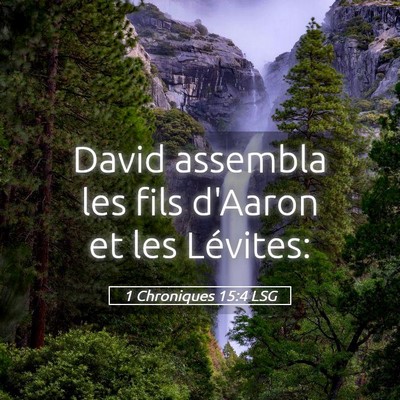 Picture 05 - 1 Chroniques 15:4 LSG - David assembla les fils d'Aaron et les - Bible Verse Picture