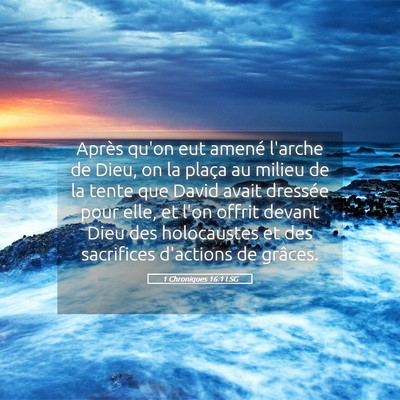 Picture 05 - 1 Chroniques 16:1 LSG - Après qu'on eut amené l'arche de Dieu, on la - Bible Verse Picture
