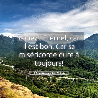 Picture 05 - 1 Chroniques 16:34 LSG - Louez l'Eternel, car il est bon, Car sa - Bible Verse Picture