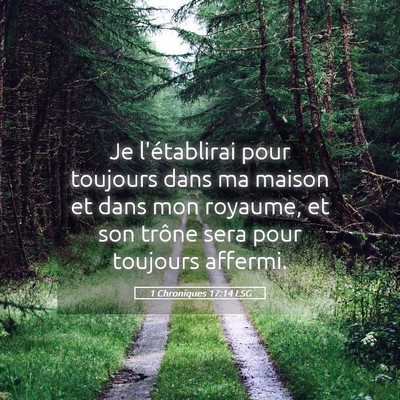 Picture 05 - 1 Chroniques 17:14 LSG - Je l'établirai pour toujours dans ma maison et - Bible Verse Picture
