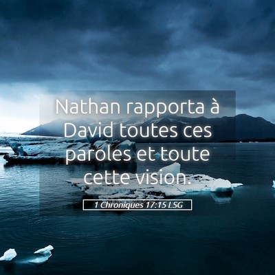 Picture 05 - 1 Chroniques 17:15 LSG - Nathan rapporta à David toutes ces paroles et - Bible Verse Picture