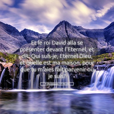 Picture 05 - 1 Chroniques 17:16 LSG - Et le roi David alla se présenter devant - Bible Verse Picture