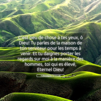 Picture 05 - 1 Chroniques 17:17 LSG - C'est peu de chose à tes yeux, ô Dieu! Tu - Bible Verse Picture