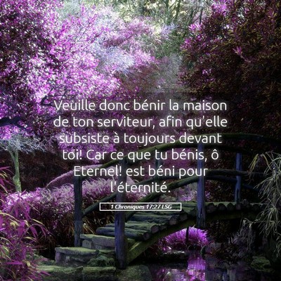 Picture 05 - 1 Chroniques 17:27 LSG - Veuille donc bénir la maison de ton serviteur, - Bible Verse Picture