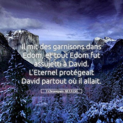 Picture 05 - 1 Chroniques 18:13 LSG - Il mit des garnisons dans Edom, et tout Edom fut - Bible Verse Picture