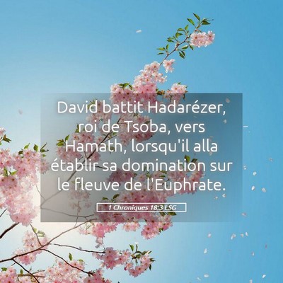 Picture 05 - 1 Chroniques 18:3 LSG - David battit Hadarézer, roi de Tsoba, vers - Bible Verse Picture