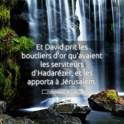 Picture 05 - 1 Chroniques 18:7 LSG - Et David prit les boucliers d'or qu'avaient les - Bible Verse Picture