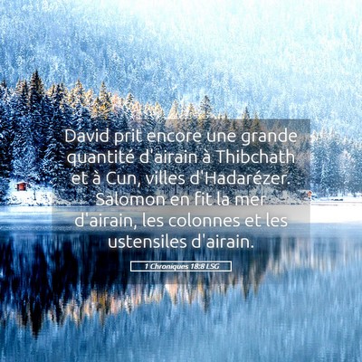 Picture 05 - 1 Chroniques 18:8 LSG - David prit encore une grande quantité d'airain - Bible Verse Picture