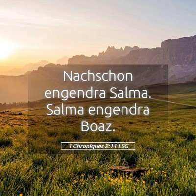 Picture 05 - 1 Chroniques 2:11 LSG - Nachschon engendra Salma. Salma engendra - Bible Verse Picture