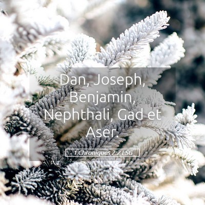 Picture 05 - 1 Chroniques 2:2 LSG - Dan, Joseph, Benjamin, Nephthali, Gad et - Bible Verse Picture