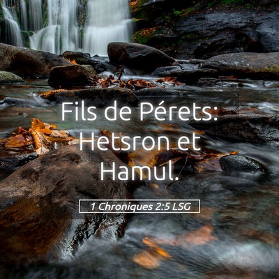 Picture 05 - 1 Chroniques 2:5 LSG - Fils de Pérets: Hetsron et - Bible Verse Picture