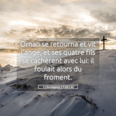 Picture 05 - 1 Chroniques 21:20 LSG - Ornan se retourna et vit l'ange, et ses quatre - Bible Verse Picture