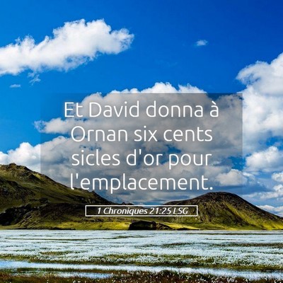 Picture 05 - 1 Chroniques 21:25 LSG - Et David donna à Ornan six cents sicles d'or - Bible Verse Picture