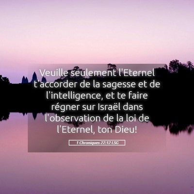 Picture 05 - 1 Chroniques 22:12 LSG - Veuille seulement l'Eternel t'accorder de la - Bible Verse Picture