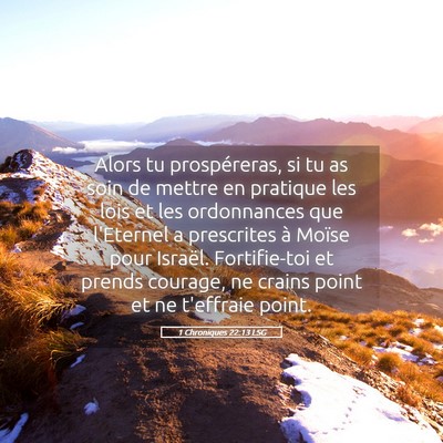 Picture 05 - 1 Chroniques 22:13 LSG - Alors tu prospéreras, si tu as soin de mettre en - Bible Verse Picture