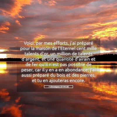 Picture 05 - 1 Chroniques 22:14 LSG - Voici, par mes efforts, j'ai préparé pour la - Bible Verse Picture