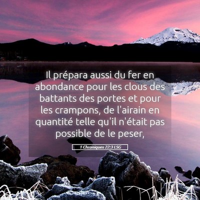Picture 05 - 1 Chroniques 22:3 LSG - Il prépara aussi du fer en abondance pour les - Bible Verse Picture