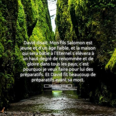 Picture 05 - 1 Chroniques 22:5 LSG - David disait: Mon fils Salomon est jeune et d'un - Bible Verse Picture