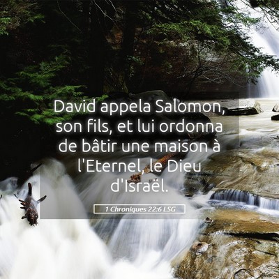 Picture 05 - 1 Chroniques 22:6 LSG - David appela Salomon, son fils, et lui ordonna de - Bible Verse Picture