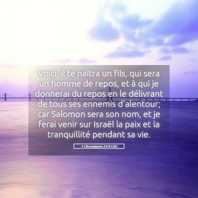 Picture 05 - 1 Chroniques 22:9 LSG - Voici, il te naîtra un fils, qui sera un homme - Bible Verse Picture
