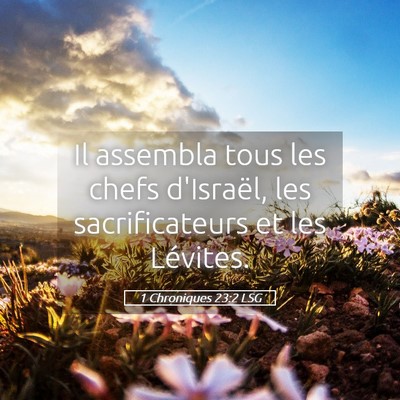 Picture 05 - 1 Chroniques 23:2 LSG - Il assembla tous les chefs d'Israël, les - Bible Verse Picture