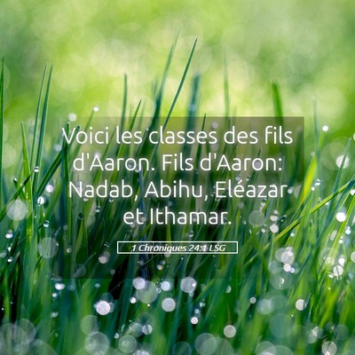 Picture 05 - 1 Chroniques 24:1 LSG - Voici les classes des fils d'Aaron. Fils d'Aaron: - Bible Verse Picture