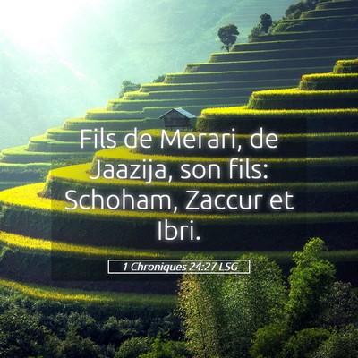 Picture 05 - 1 Chroniques 24:27 LSG - Fils de Merari, de Jaazija, son fils: Schoham, - Bible Verse Picture