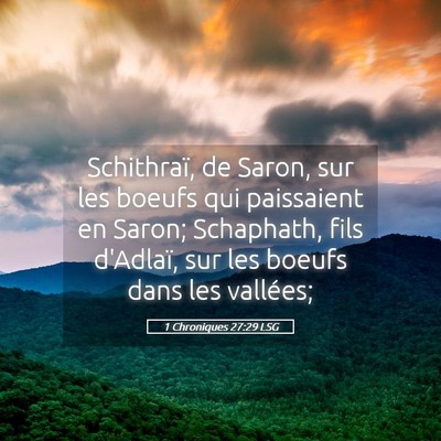 Picture 05 - 1 Chroniques 27:29 LSG - Schithraï, de Saron, sur les boeufs qui - Bible Verse Picture