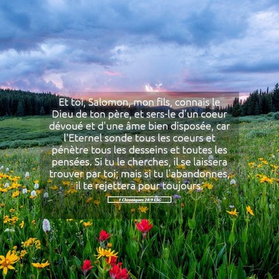 Picture 05 - 1 Chroniques 28:9 LSG - Et toi, Salomon, mon fils, connais le Dieu de ton - Bible Verse Picture